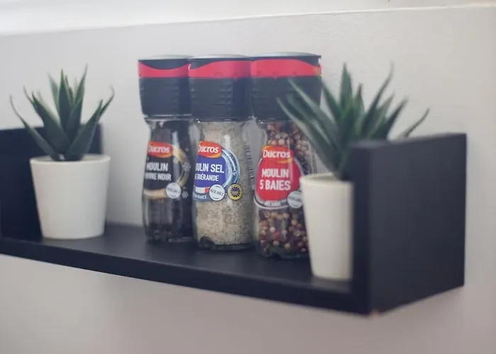 Cinema & Netflix A 永河畔拉罗什